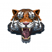 Термотрансфер - морда тигра фото