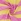 Джерси с рисунком - желто-розовый. полоса фото